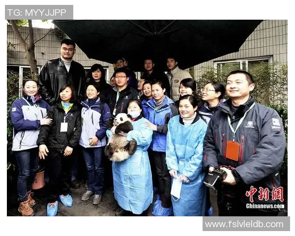 姚明国宝签字背后的故事与意义探讨