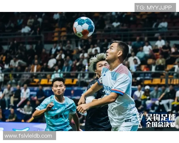 芜湖奥体足球明星阵容全解析及球员详细资料介绍