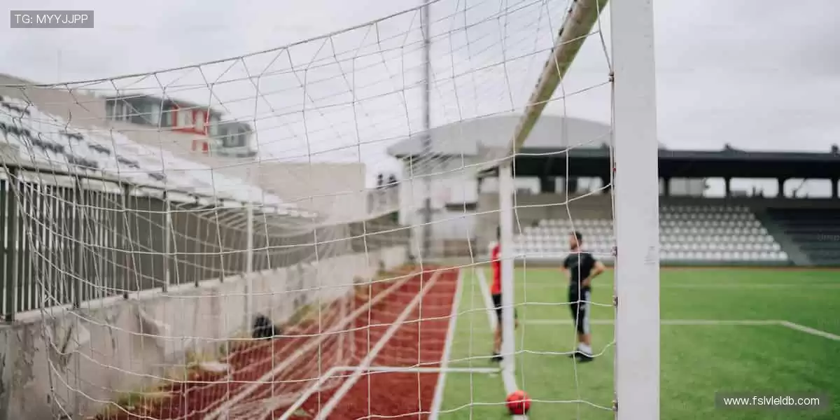 🎯【全球直播】零时差，与千万球迷同频尖叫！